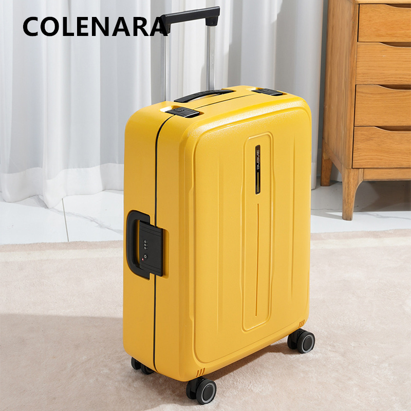 COLENARA Luggage Travel Bag 20 - Spinner Wheel Rolling Suitcase 20 Inch 评论和价格